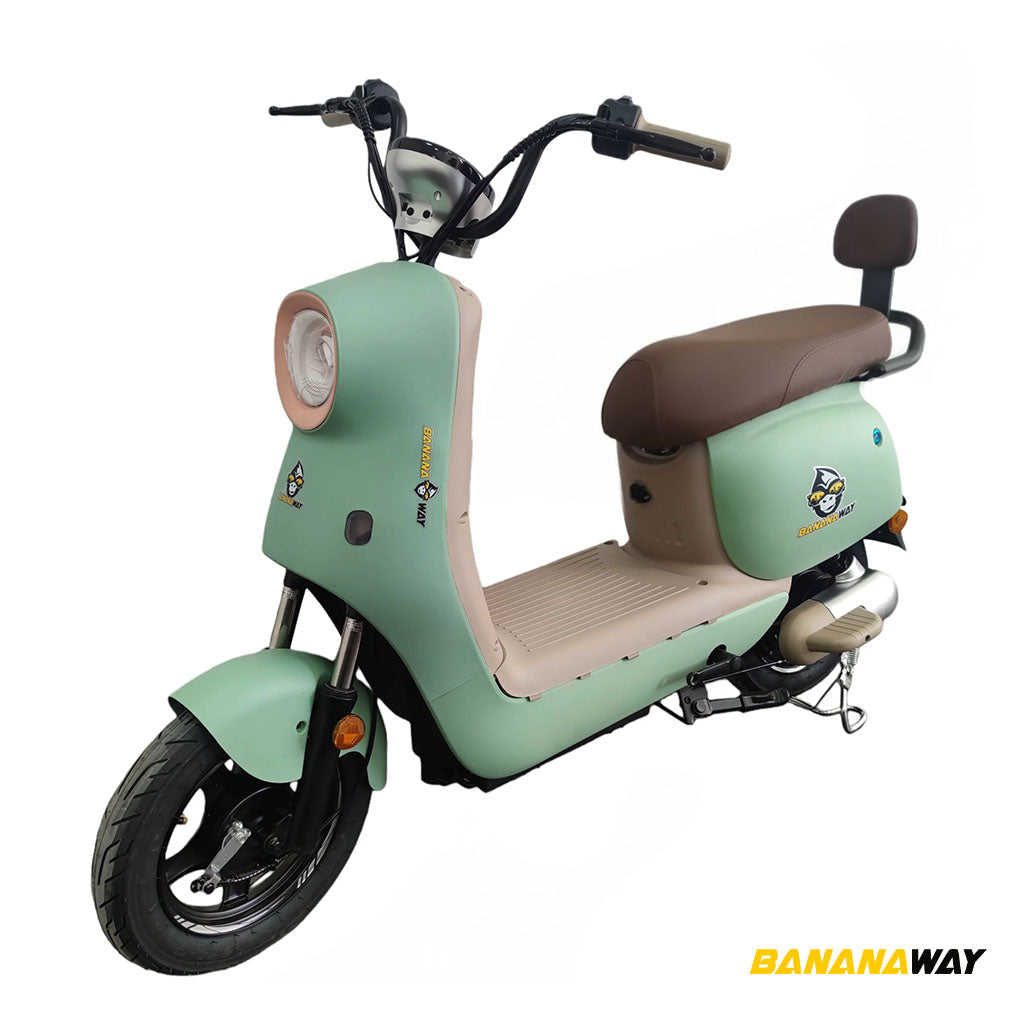 Motobici Eléctrica RetroFlow 500 BW9 