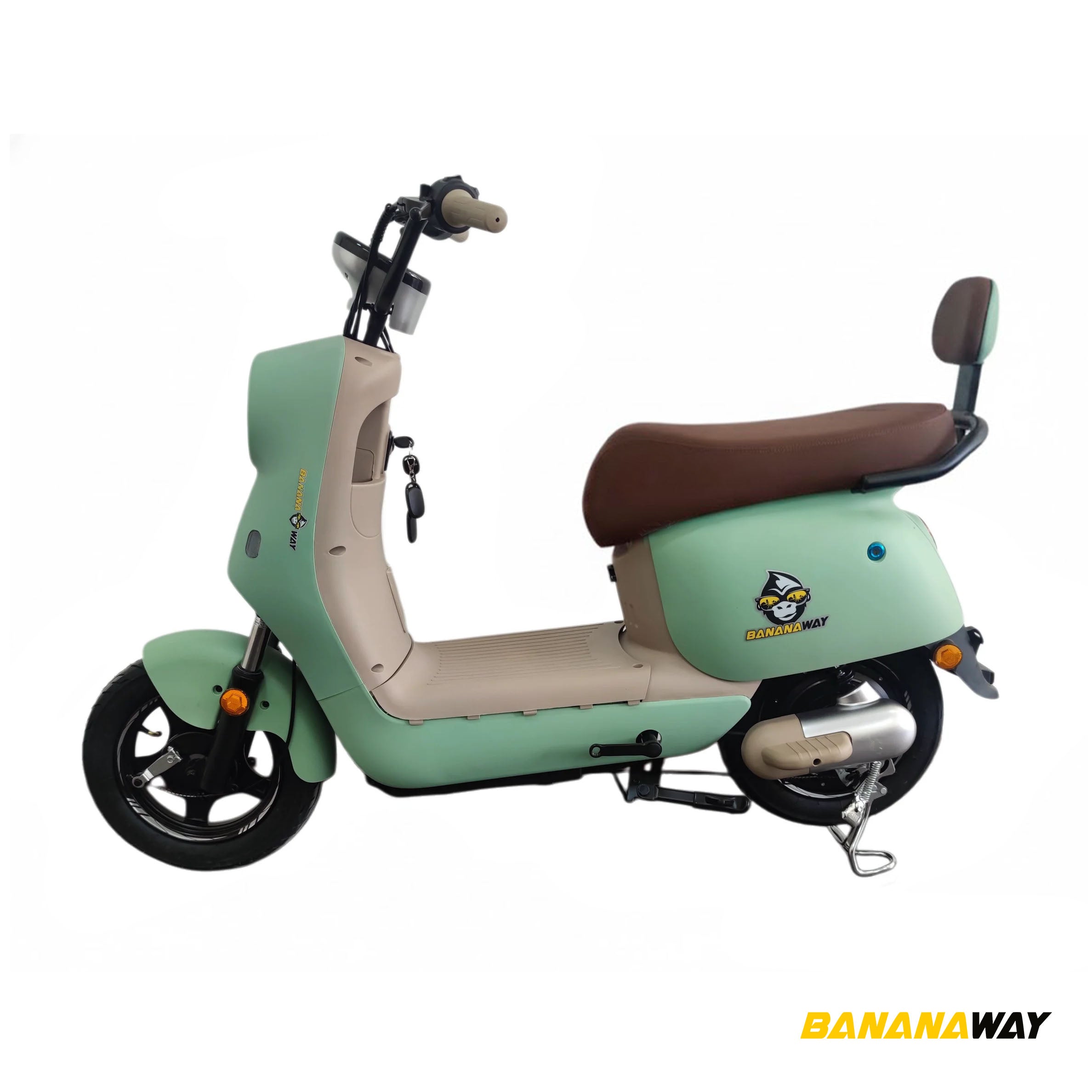 Motobici Eléctrica RetroFlow 500 BW9 